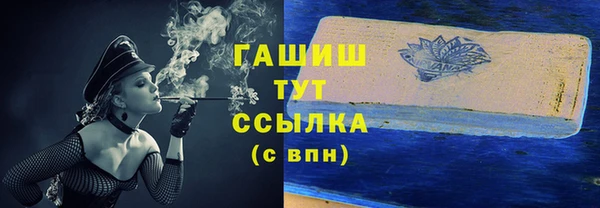 гашик Алексин