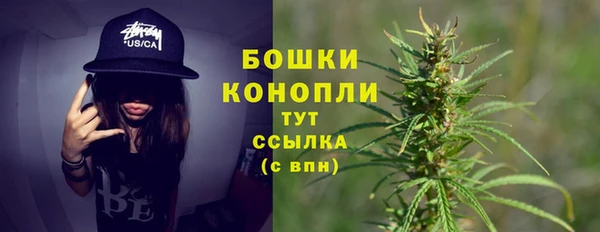твердый Абаза