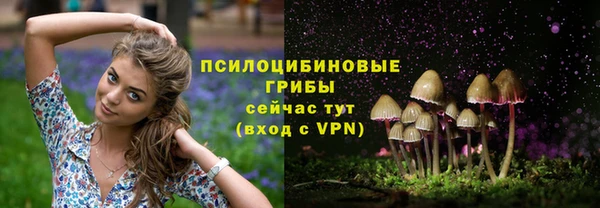 твердый Абаза