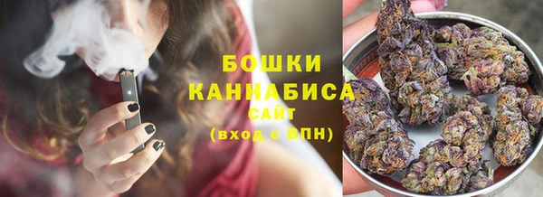 твердый Абаза