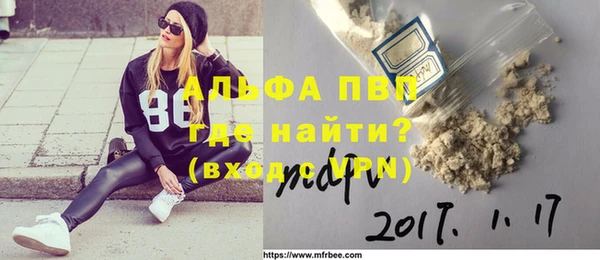твердый Абаза